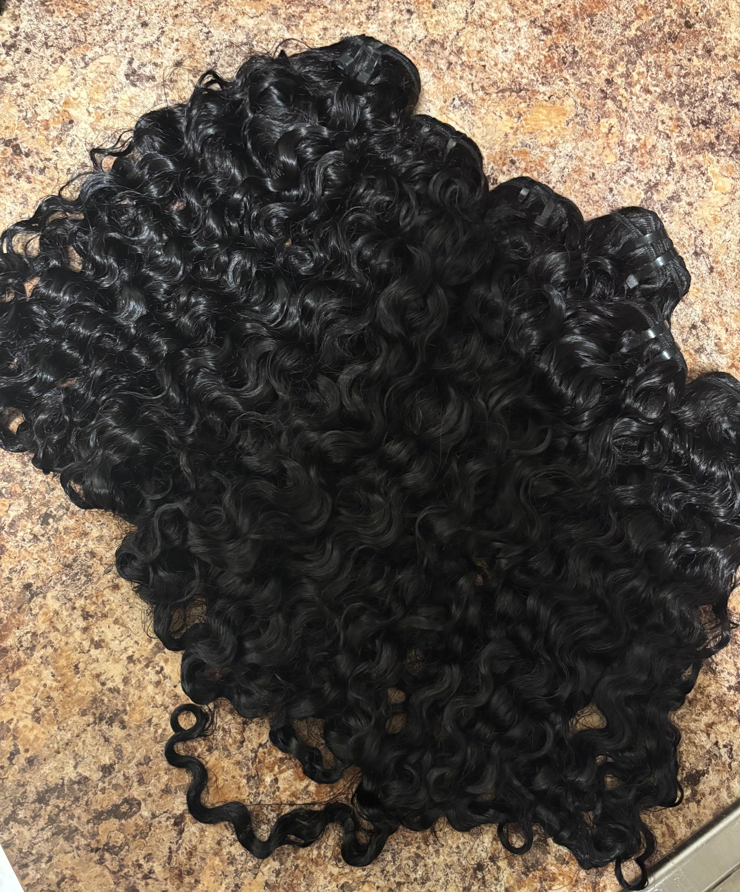 New burmese curly
